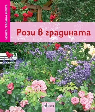 Корицата на 