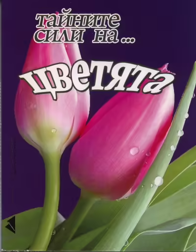 Корицата на 