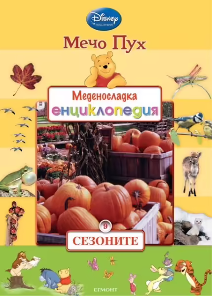 Корицата на 