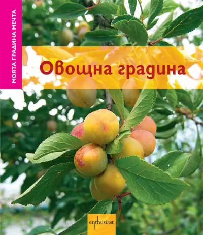 Корицата на 