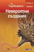 Корицата на 