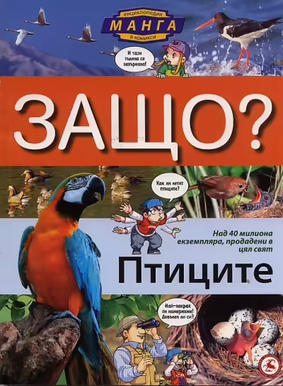 Корицата на 
