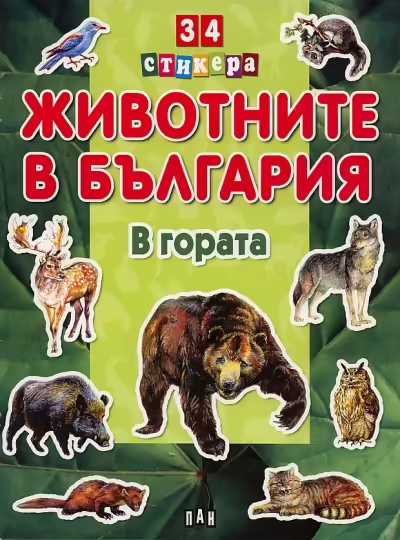 Корицата на 