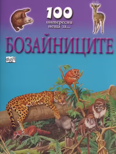 Корицата на 