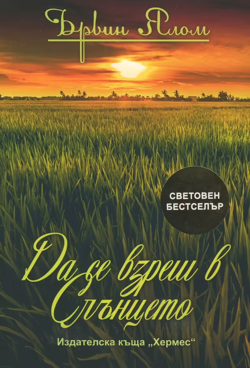 Корицата на Да се взреш в слънцето