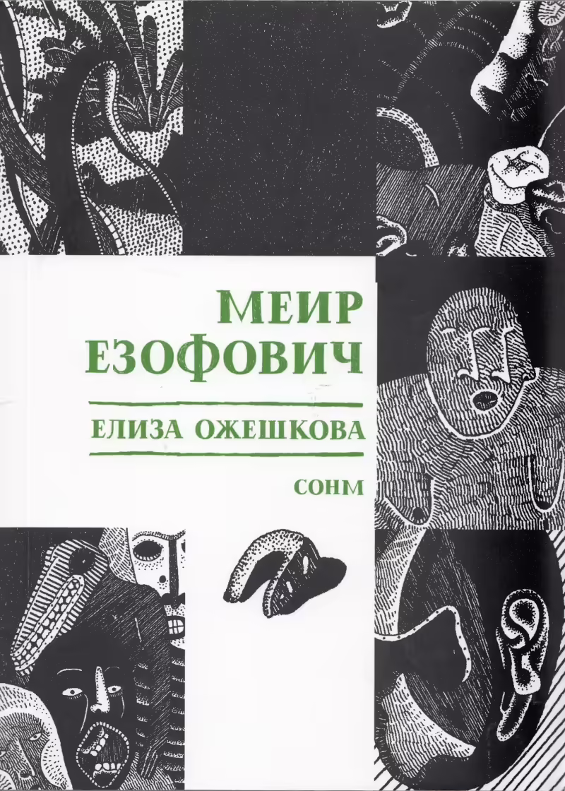 Корицата на Меир Езофович
