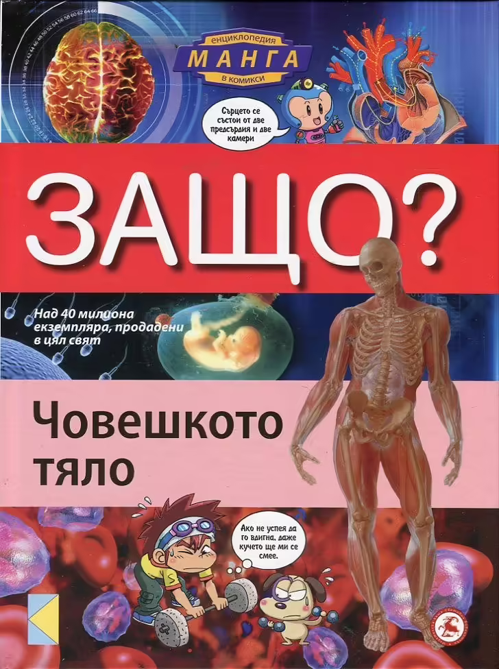 Корицата на 