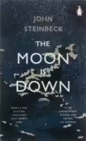 Корицата на The Moon is SDown