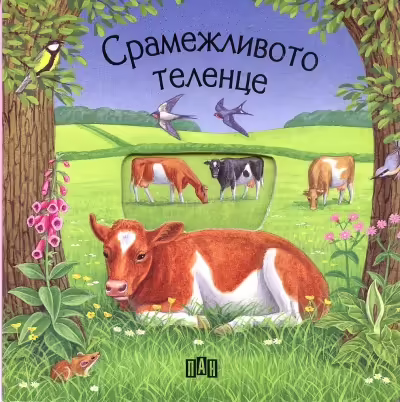 Корицата на 