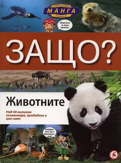 Корицата на 