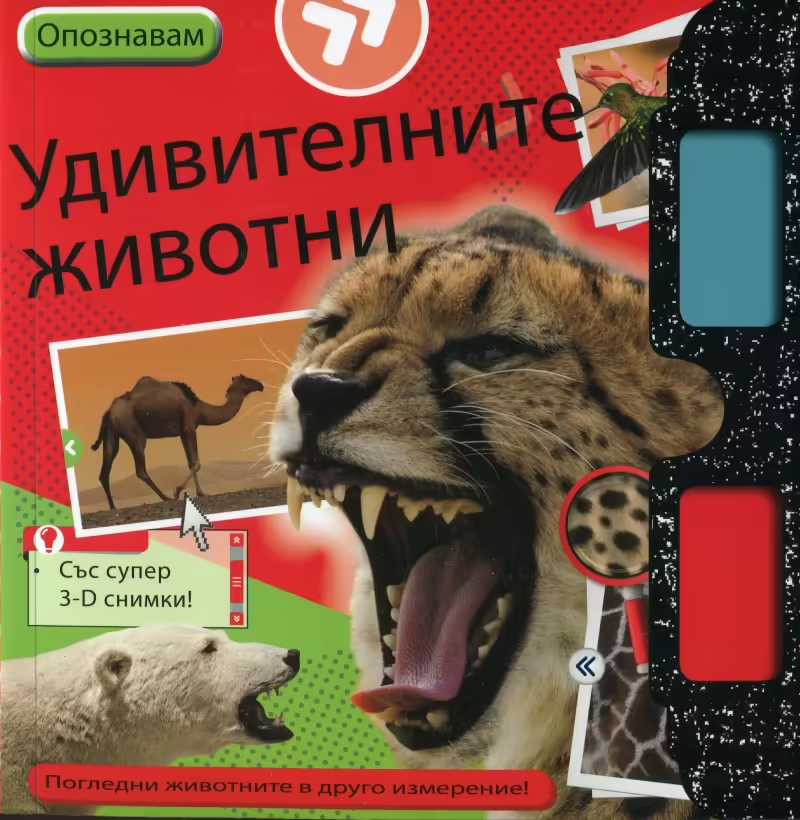 Корицата на 