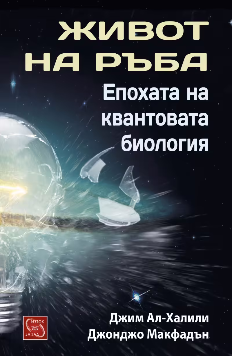 Корицата на 