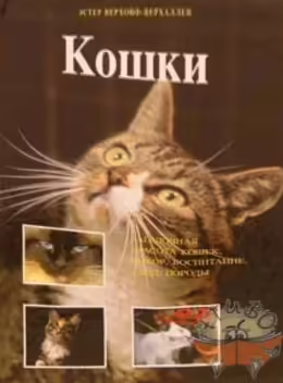 Корицата на 