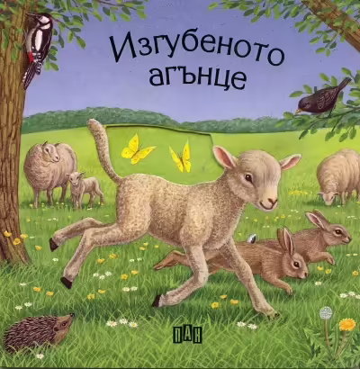 Корицата на 