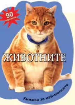 Корицата на 