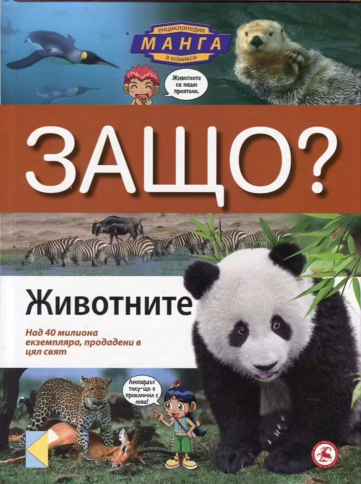 Корицата на 