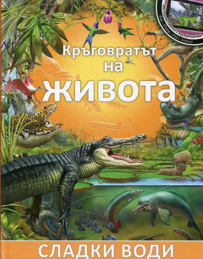 Корицата на 