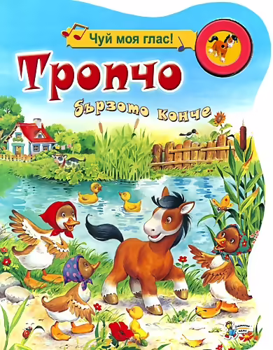Корицата на 