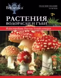 Корицата на 
