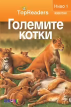 Корицата на 