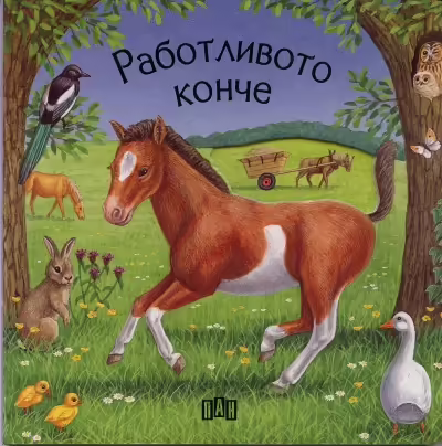 Корицата на 
