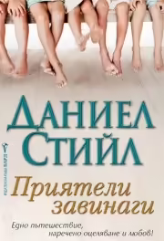 Корицата на Приятели завинаги