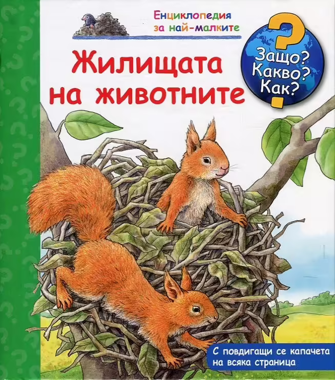 Корицата на 