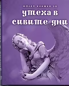 Корицата на Малка книжка за утеха в сивите дни