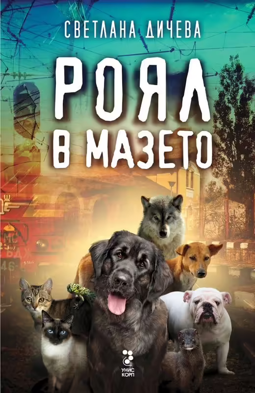 Корицата на Роял в мазето