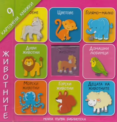Корицата на 