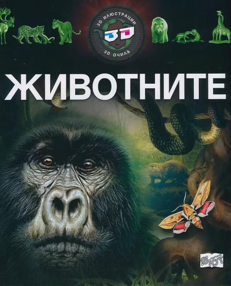 Корицата на 