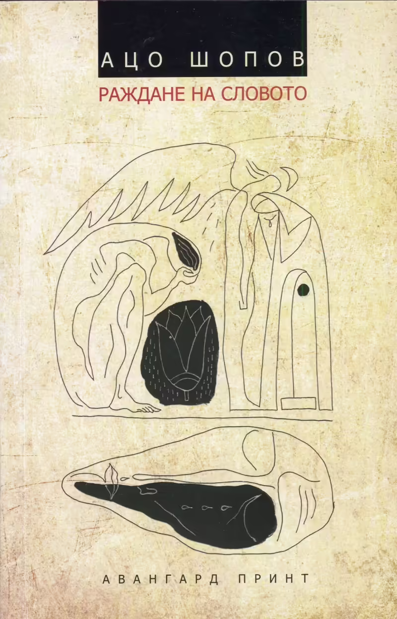 Корицата на 