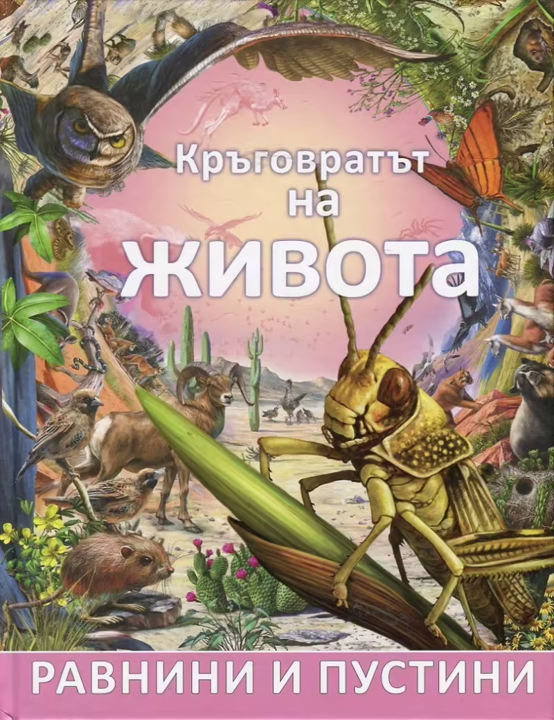 Корицата на 