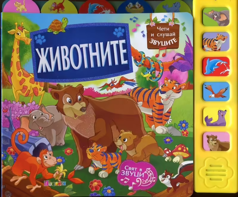 Корицата на 