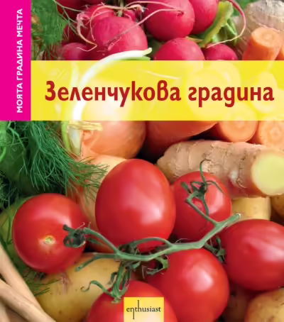 Корицата на 
