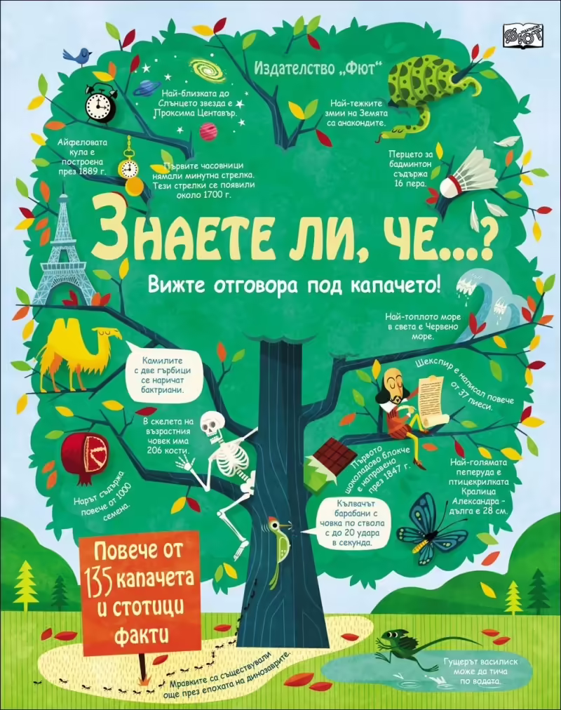 Корицата на 