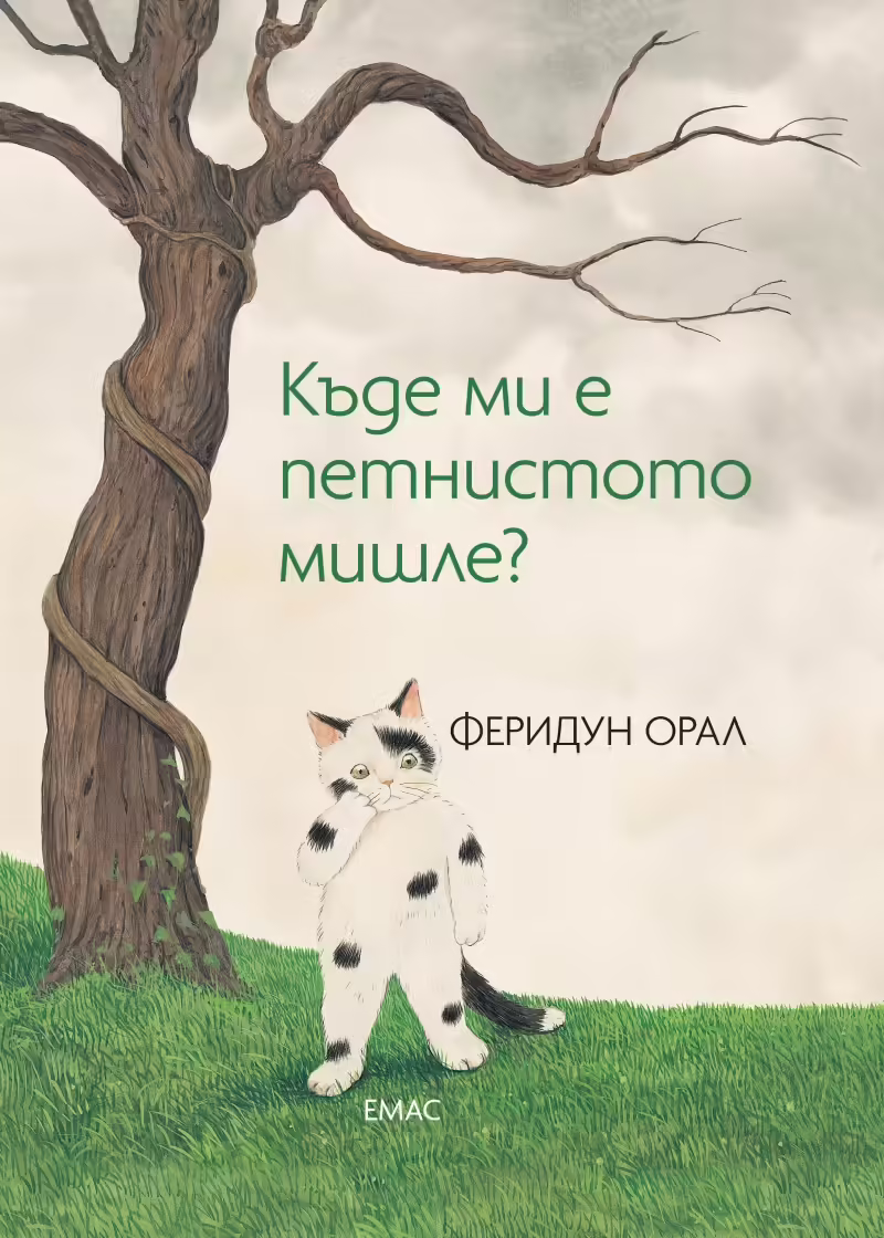Корицата на 